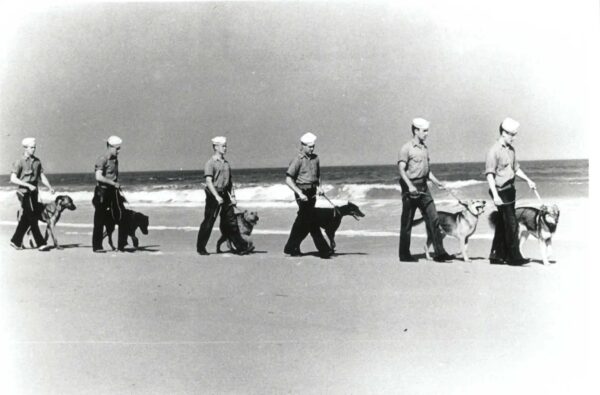 Photo: Coast Guard beach patrol with canines on parade at beach.