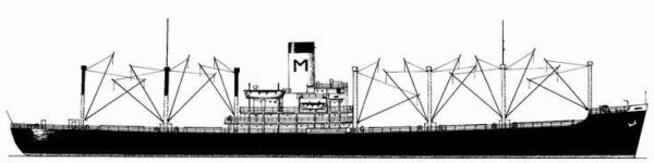 Illustration and profile view of generic Type C3-S-A2 cargo ship