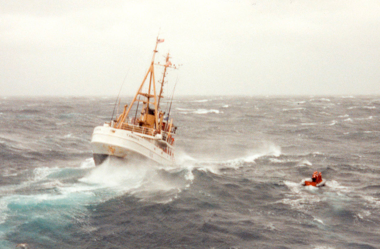 Photo: Color photograph of cutter Tamaroa plunging through heavy seas during the Perfect Storm, with a small orange life raft or boat visible to the right.