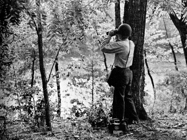 Photo: Man wearing helmet peers to water from amongst trees with binoculars.