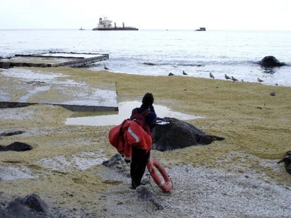 Photo: A Coast Guard member stands on the shore of Unalaska Island surrounded by debris.