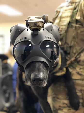Photo: Coast Guard CEDT member equipped with protective helmet and mounted illumination setup for the explosives detection mission
